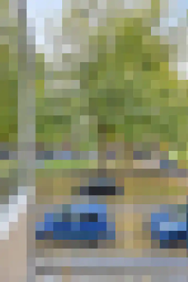 Berkenlaan 253 Zutphen thumbnail 21