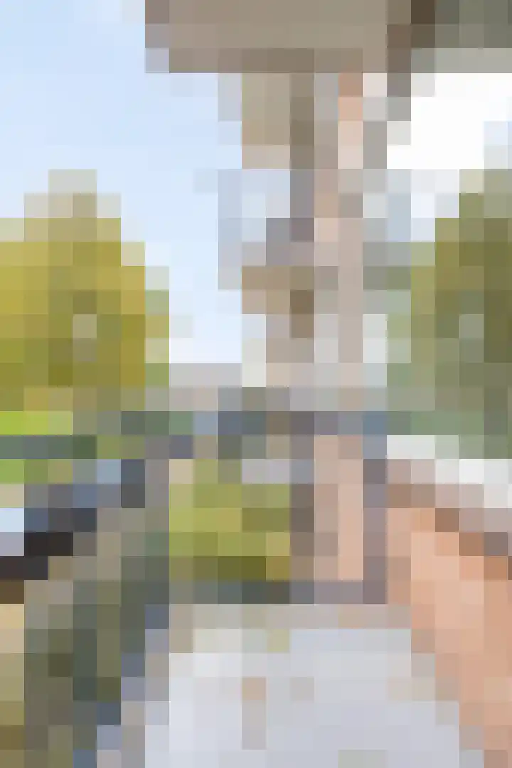 Berkenlaan 253 Zutphen thumbnail 22