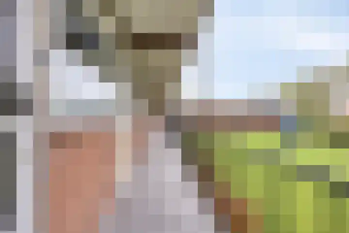 Berkenlaan 253 Zutphen thumbnail 23