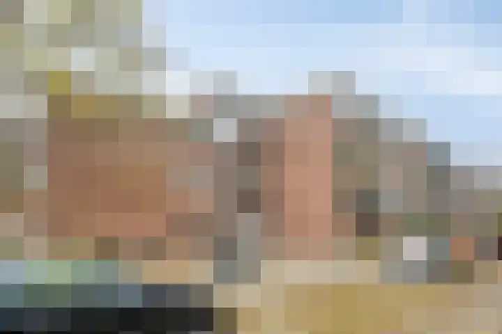Berkenlaan 253 Zutphen thumbnail 24