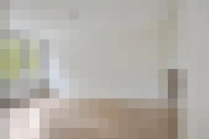 Berkenlaan 253 Zutphen thumbnail 4