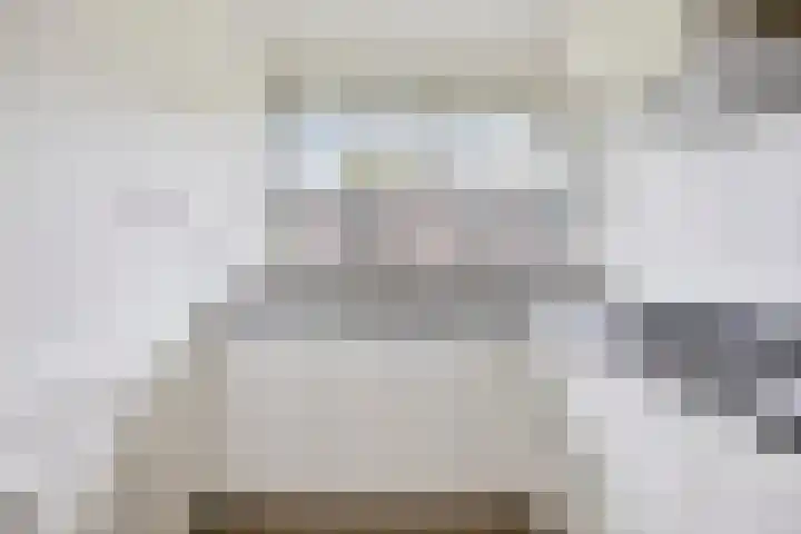 Berkenlaan 253 Zutphen thumbnail 7