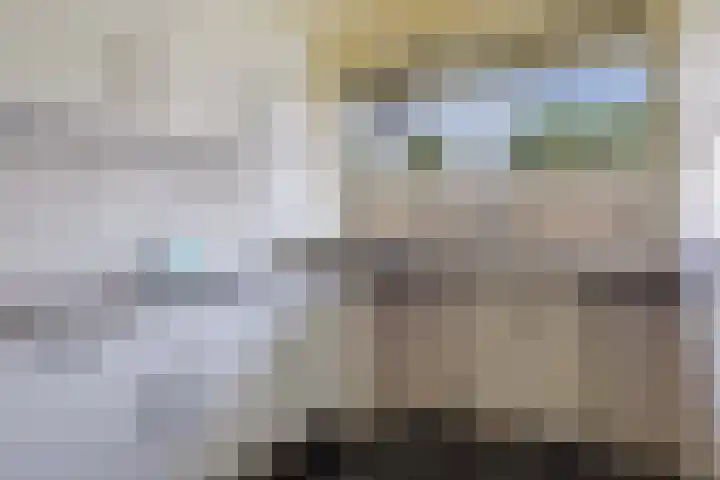 Berkenlaan 267 Zutphen thumbnail 16