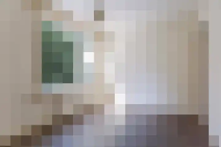 Berkenlaan 267 Zutphen thumbnail 19