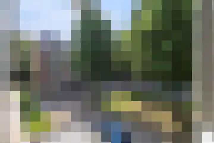 Berkenlaan 267 Zutphen thumbnail 21
