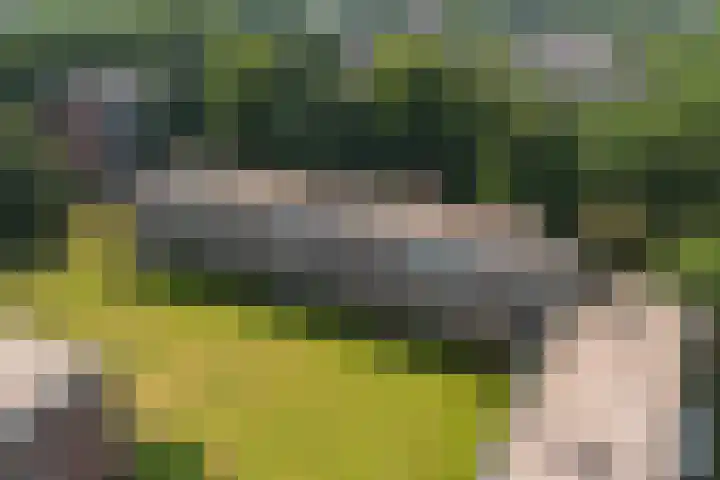 Berkenlaan 267 Zutphen thumbnail 31