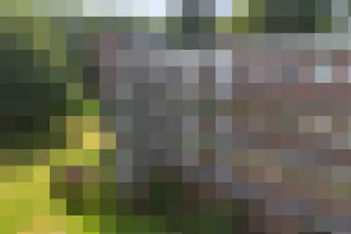 Berkenlaan 267 Zutphen thumbnail 32