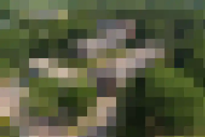 Berkenlaan 267 Zutphen thumbnail 33