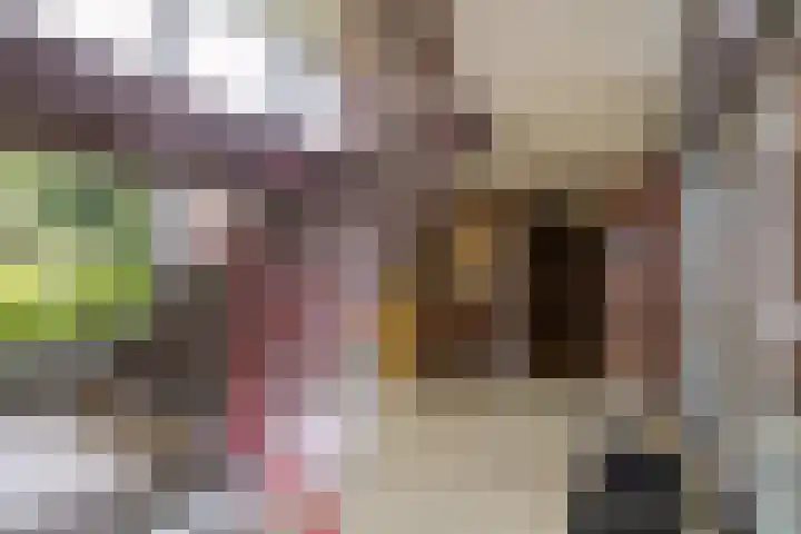 Berkenlaan 267 Zutphen thumbnail 4