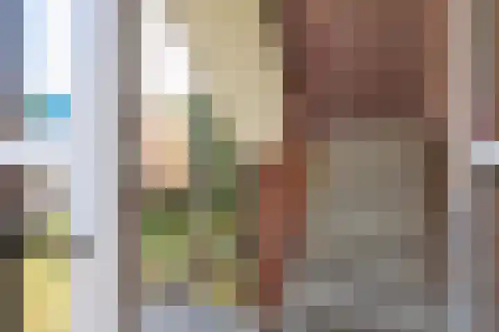 Berkenlaan 267 Zutphen thumbnail 7