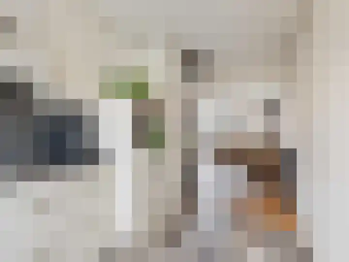 Berkenlaan 40 Harmelen thumbnail 20