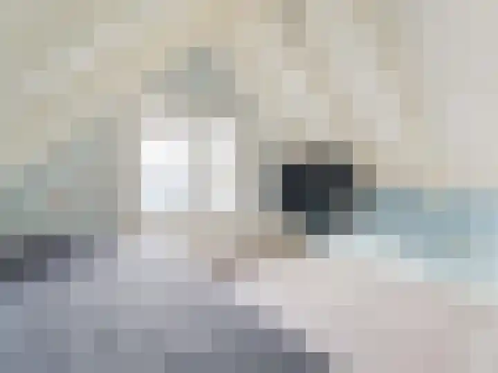Berkenlaan 40 Harmelen thumbnail 8