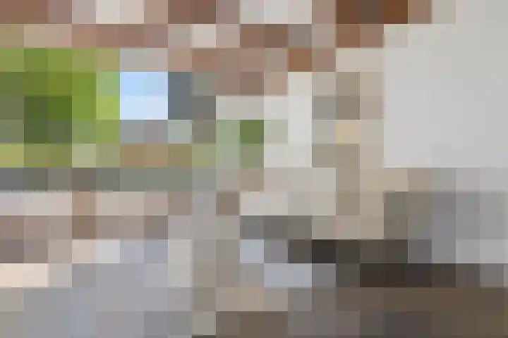 Berkenlaan 41 Duiven thumbnail 10