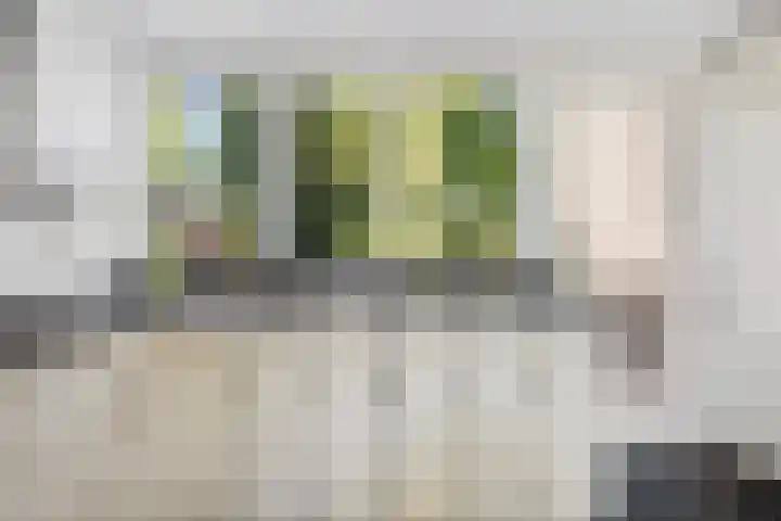Berkenlaan 41 Duiven thumbnail 13