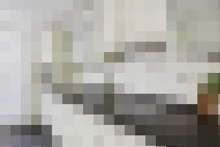 Berkenlaan 41 Duiven thumbnail 14