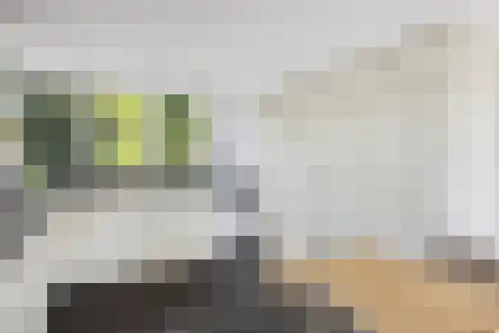 Berkenlaan 41 Duiven thumbnail 15