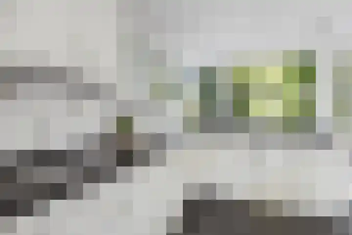 Berkenlaan 41 Duiven thumbnail 16