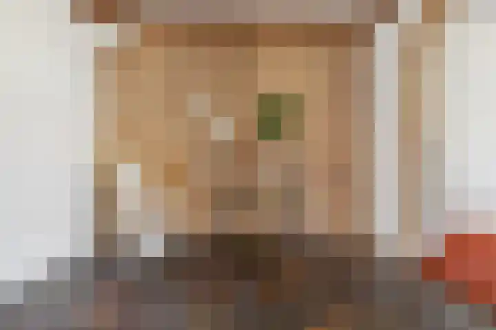 Berkenlaan 41 Duiven thumbnail 17