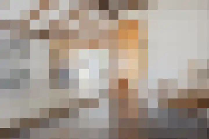 Berkenlaan 41 Duiven thumbnail 18
