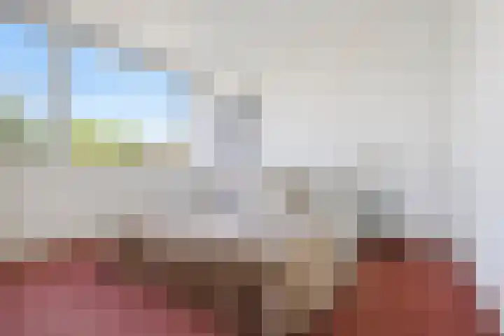 Berkenlaan 41 Duiven thumbnail 28
