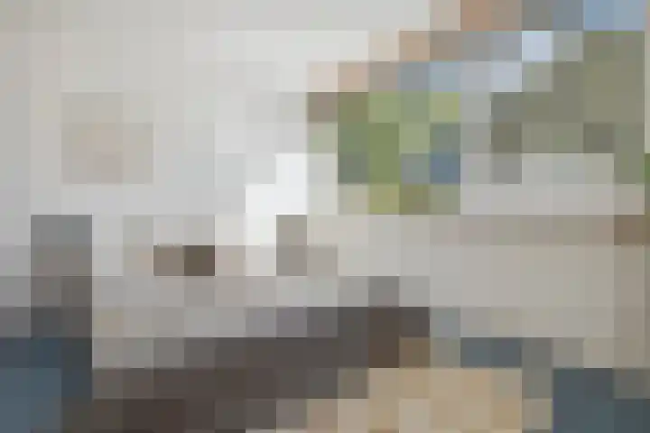 Berkenlaan 41 Duiven thumbnail 30