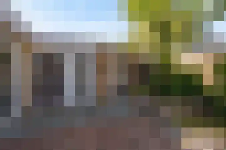 Berkenlaan 41 Duiven thumbnail 38