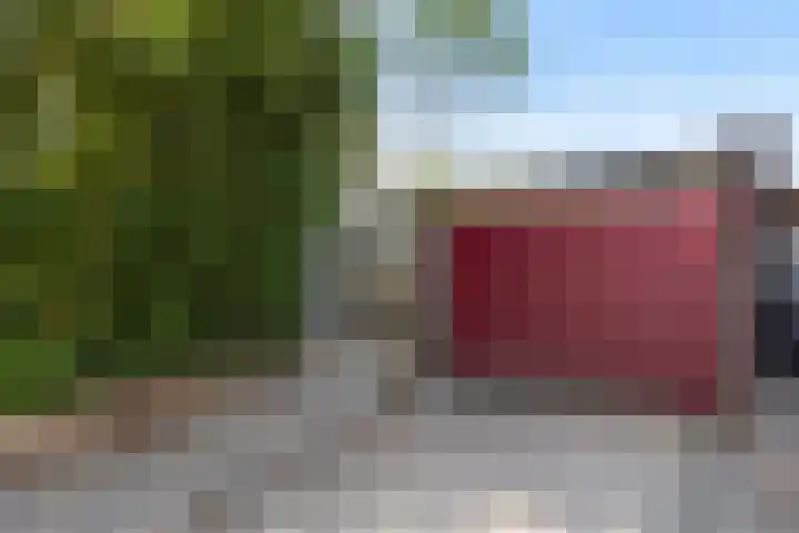 Berkenlaan 41 Duiven thumbnail 40