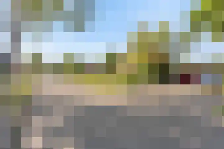 Berkenlaan 41 Duiven thumbnail 42