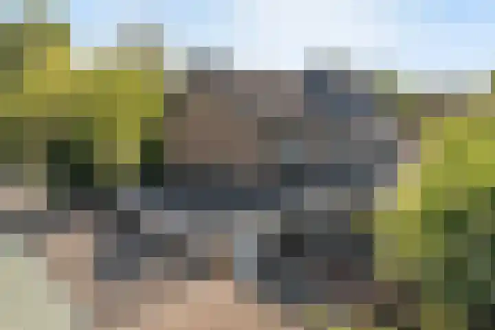 Berkenlaan 41 Duiven thumbnail 44
