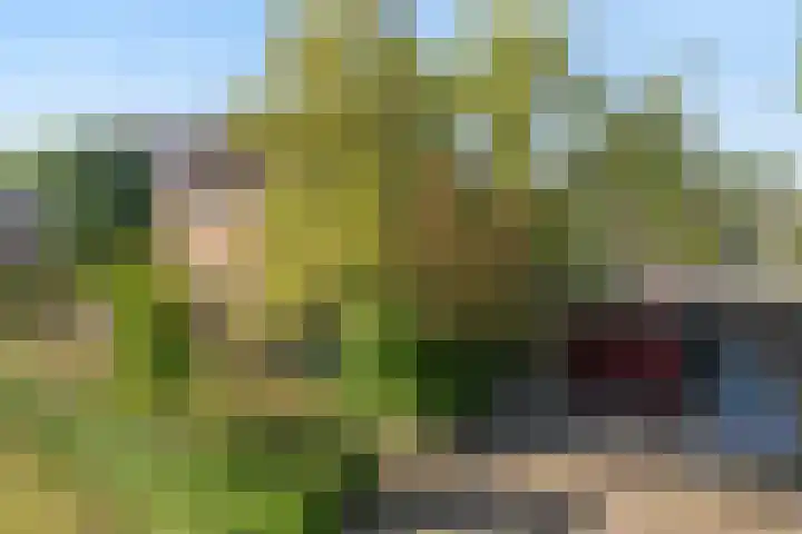 Berkenlaan 41 Duiven thumbnail 47