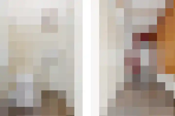 Berkenlaan 41 Duiven thumbnail 5