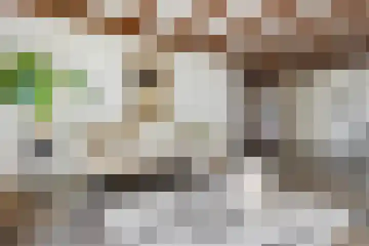 Berkenlaan 41 Duiven thumbnail 50