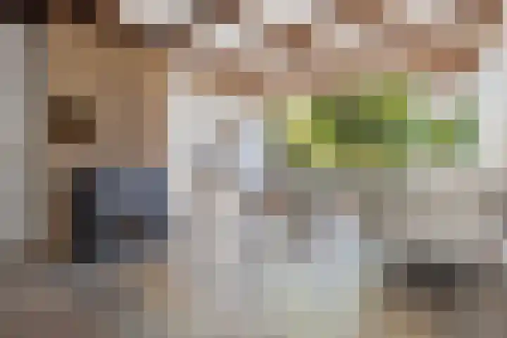 Berkenlaan 41 Duiven thumbnail 7