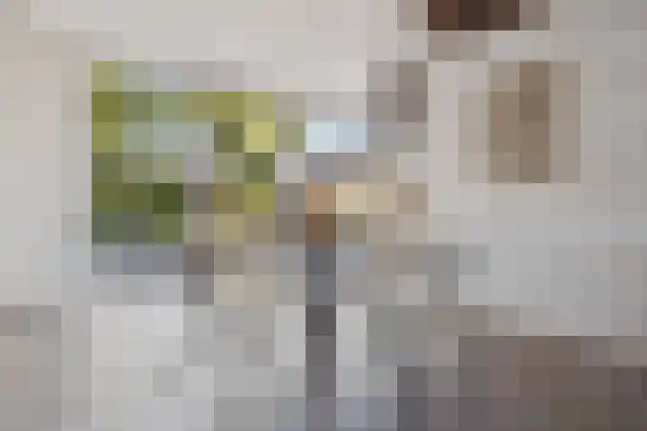 Berkenlaan 41 Duiven thumbnail 9
