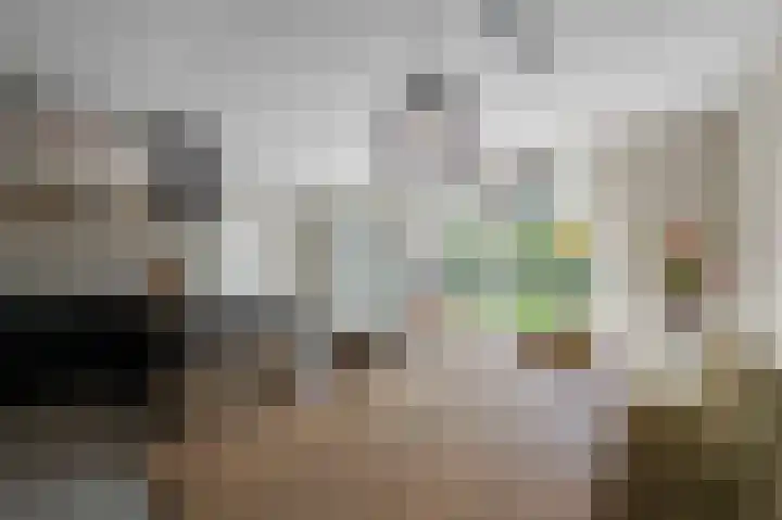 Berkenlaan 43 Bosschenhoofd thumbnail 19