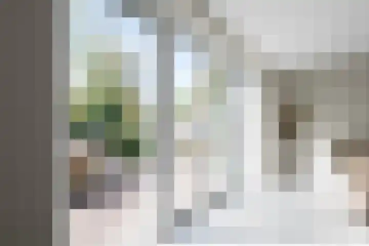 Berkenlaan 43 Bosschenhoofd thumbnail 20