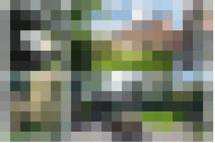 Berkenlaan 43 Bosschenhoofd thumbnail 23