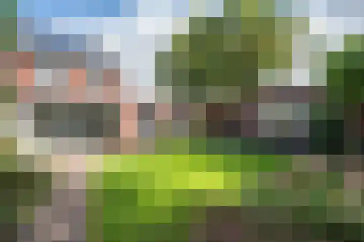Berkenlaan 43 Bosschenhoofd thumbnail 24