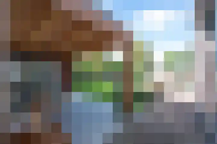 Berkenlaan 43 Bosschenhoofd thumbnail 25