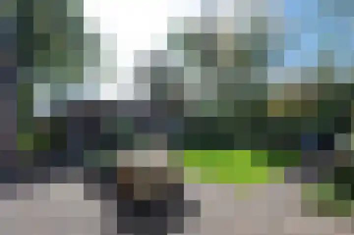 Berkenlaan 43 Bosschenhoofd thumbnail 26