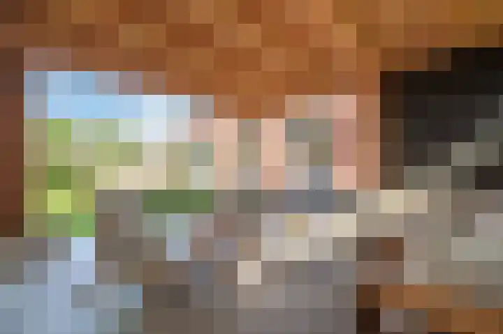 Berkenlaan 43 Bosschenhoofd thumbnail 30