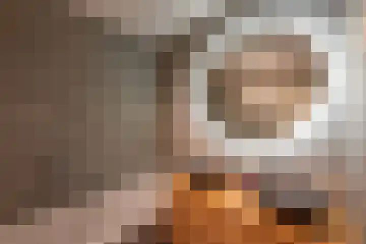 Berkenlaan 43 Bosschenhoofd thumbnail 41
