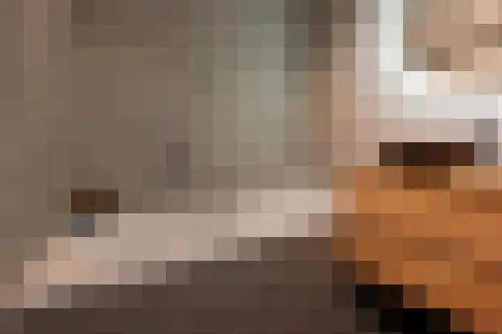 Berkenlaan 43 Bosschenhoofd thumbnail 43