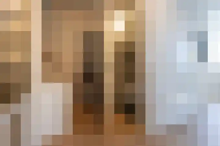 Berkenlaan 43 Bosschenhoofd thumbnail 50