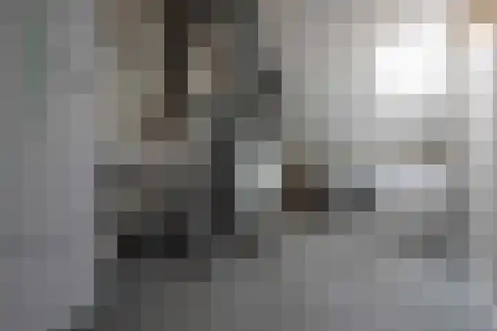 Berkenlaan 43 Bosschenhoofd thumbnail 51