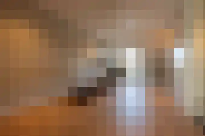 Berkenlaan 43 Bosschenhoofd thumbnail 52