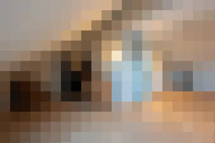 Berkenlaan 43 Bosschenhoofd thumbnail 53