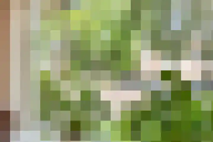 Berkenlaan 44 Zutphen thumbnail 14