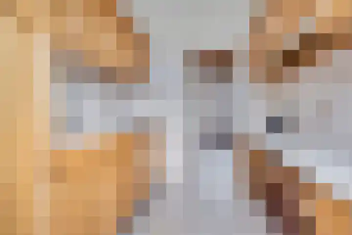 Berkenlaan 44 Zutphen thumbnail 17