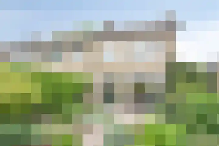 Berkenlaan 44 Zutphen thumbnail 18